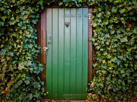 bien travailler une porte en bois verte
